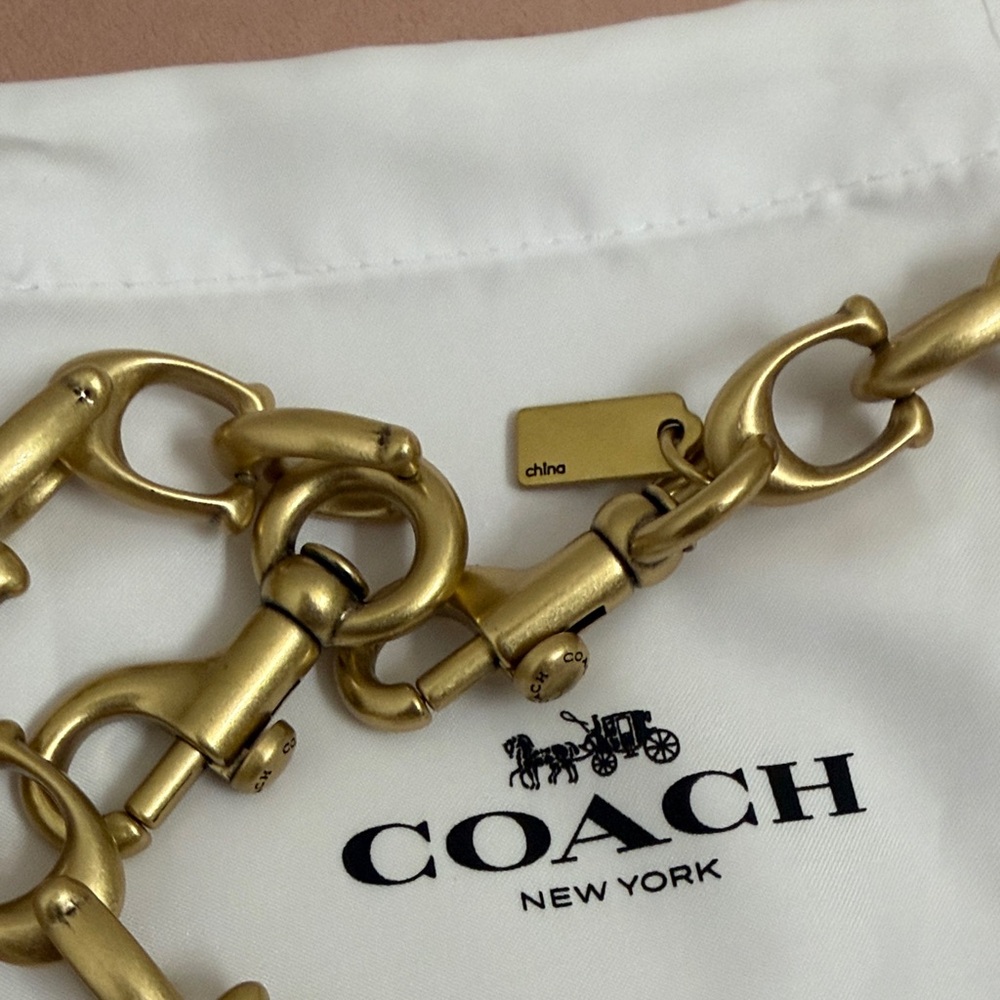 Signature Link Chain Strap - Picture 6 of 7